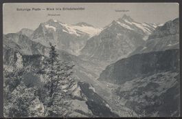 Schynige - Platte - Blick in`s Grindelwaldtal   1918